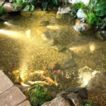 Natural stone koi pond water feature