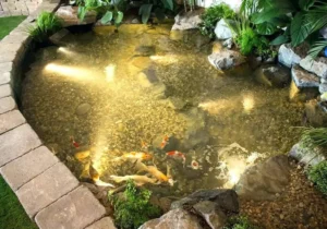 Natural stone koi pond water feature