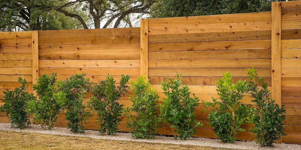Cedar wood fence