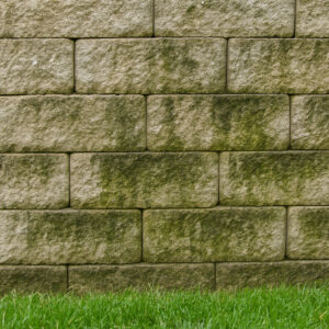 Close-up of a retaining wall with visible moss and water stains on the concrete blocks, showing early signs of moisture damage and poor drainage.